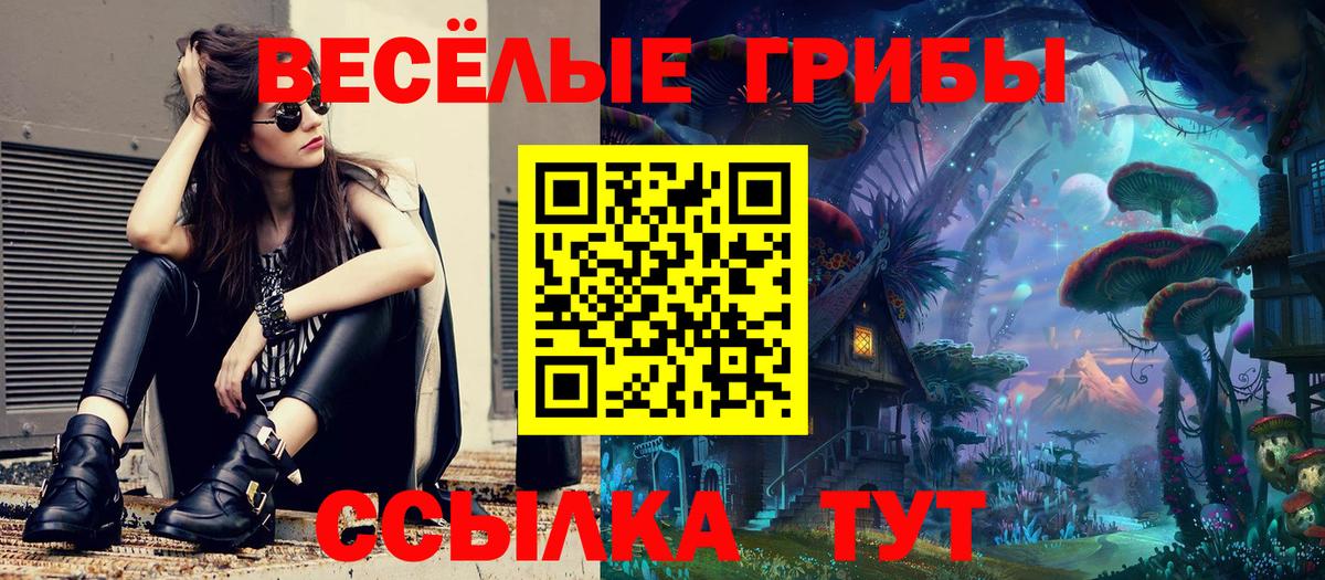 Галлюциногенные грибы Psilocybe Аша