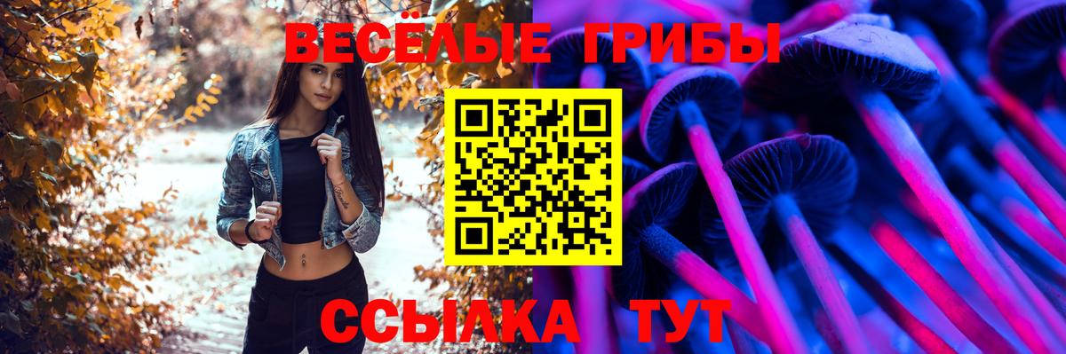 Псилоцибиновые грибы GOLDEN TEACHER  Вход с VPN  Аша 